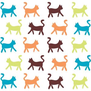 CAT PATTERN 00