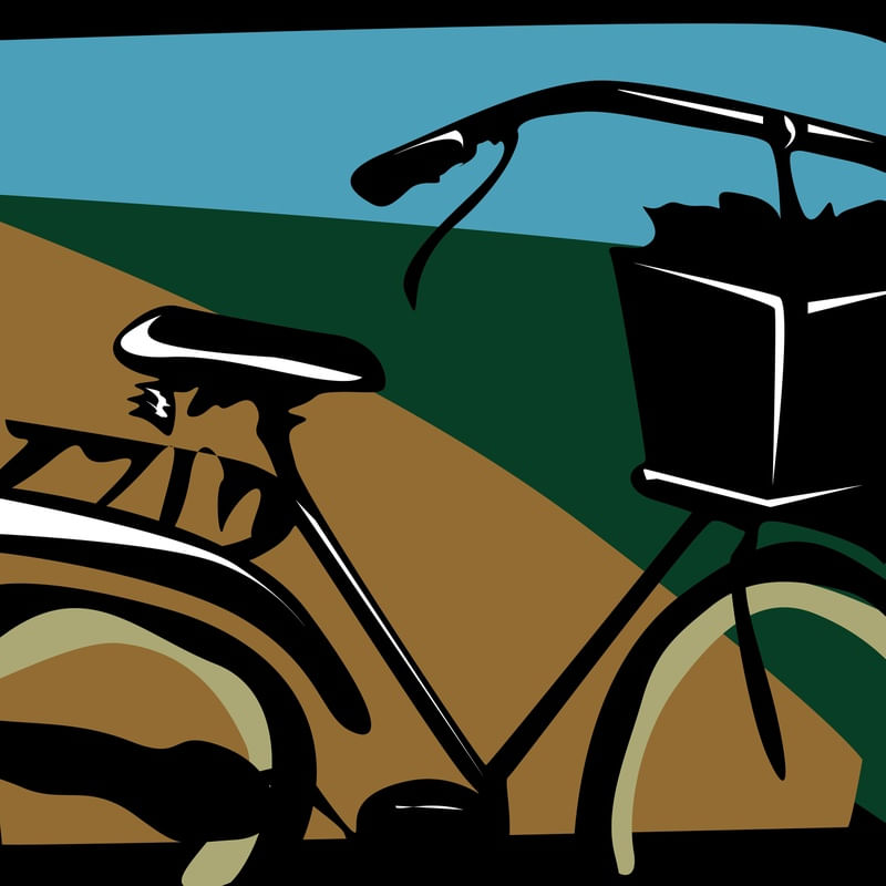 GRAPH BIKE 3