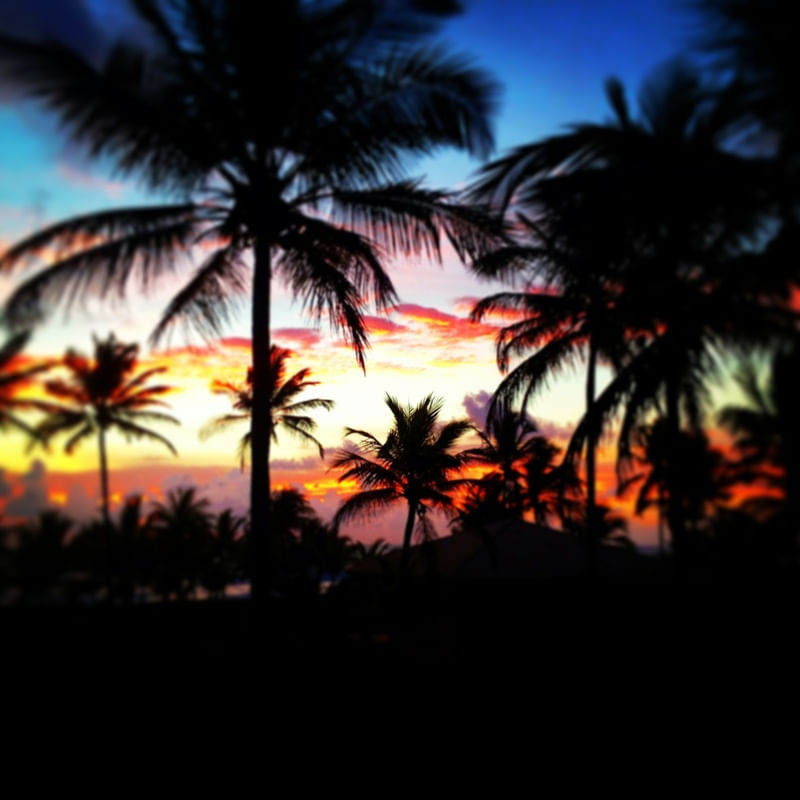 COCONUT
