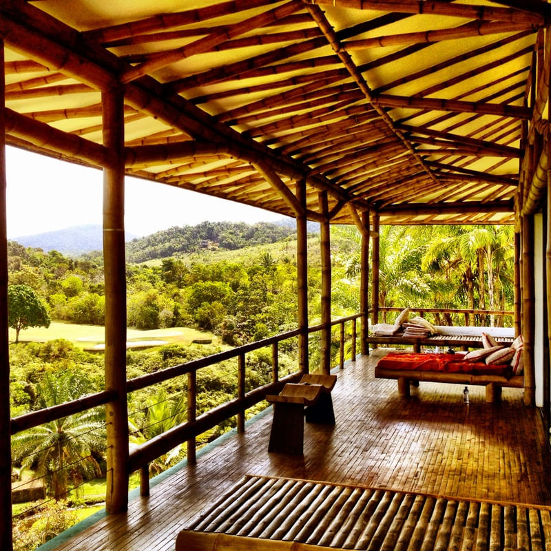 BAMBU