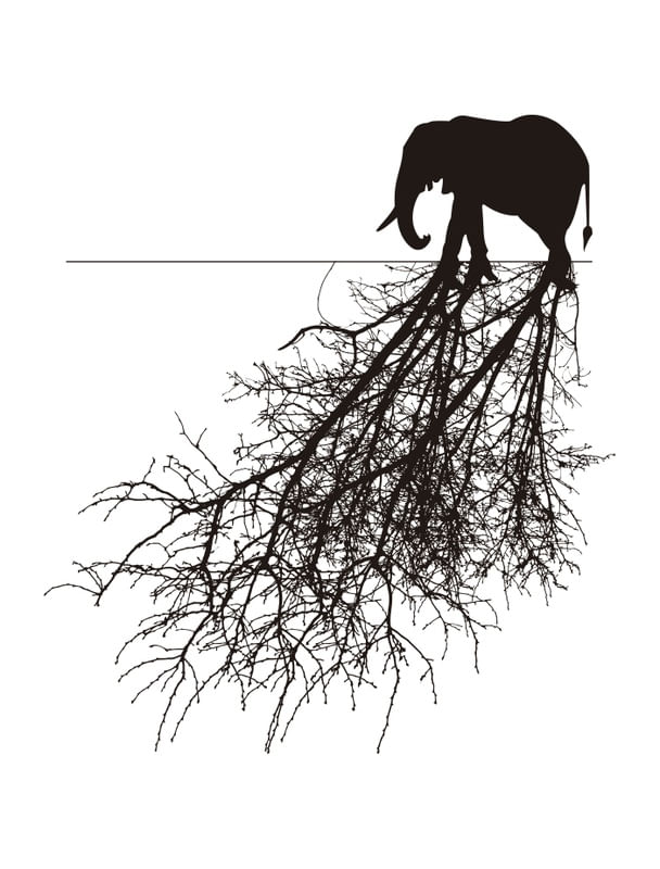 ELEFANTE