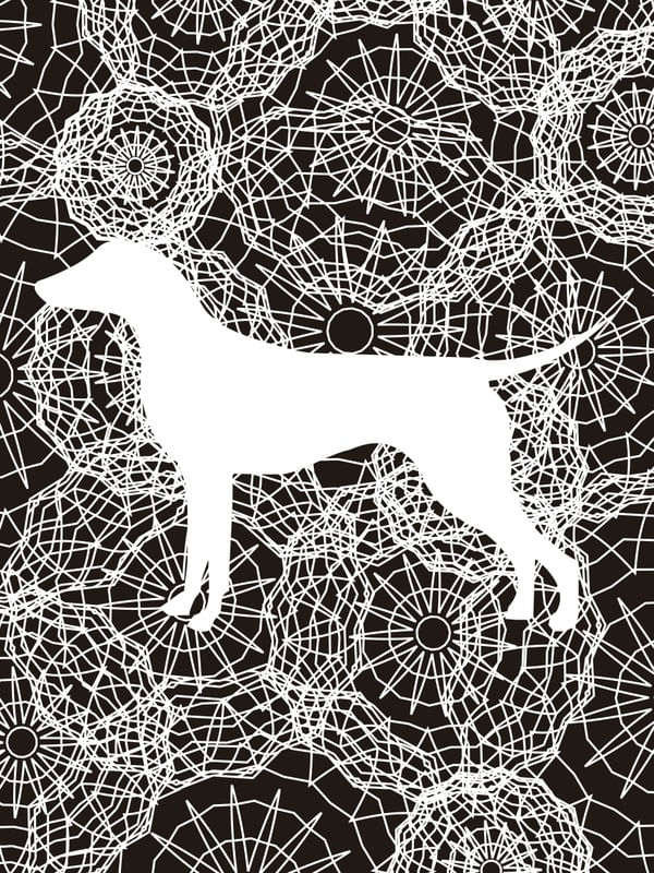 TEIA DE CACHORRO