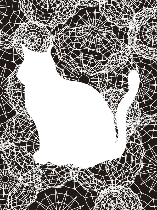 TEIA DE GATO
