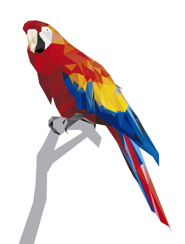 NATUREZA DE TRIÂNGULOS - ARARA