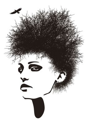 FACES DA NATUREZA I
