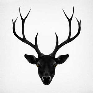 THE BLACK DEER