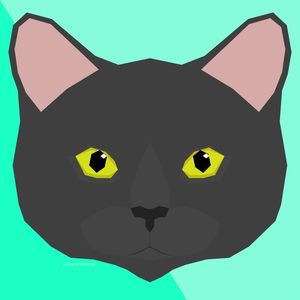 MEOW SERIES - DARK GREY