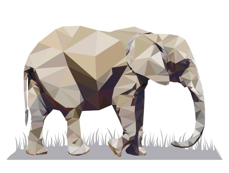 NATUREZA DE TRIÂNGULOS - ELEFANTE