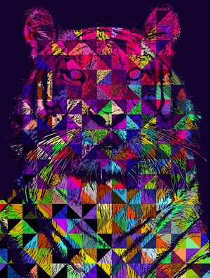 TIGER COLORS