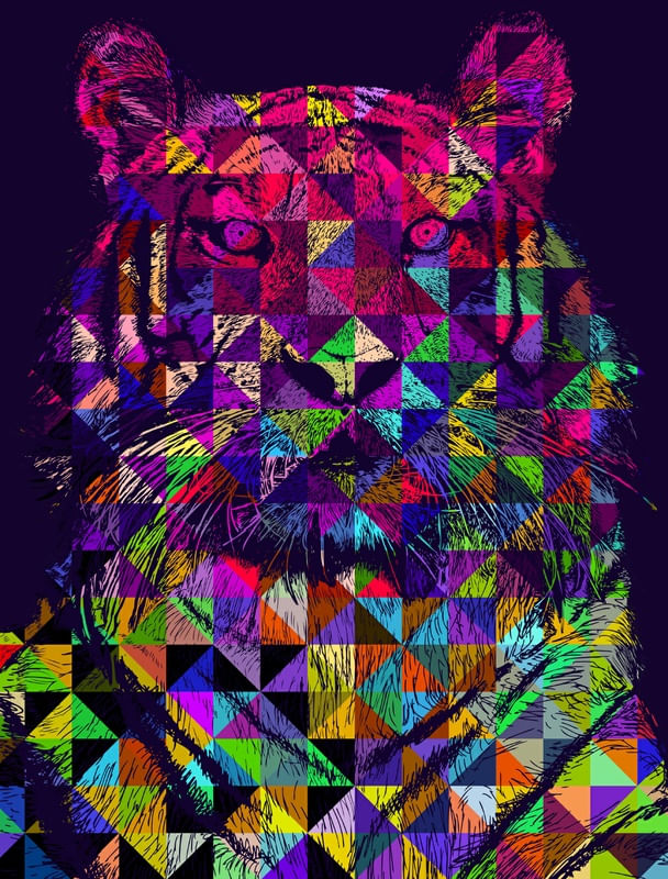 TIGER COLORS