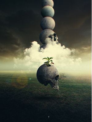 RISE