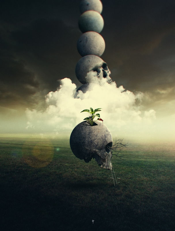 RISE