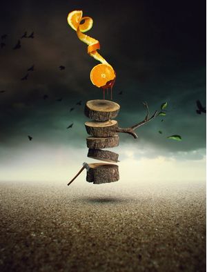 THE ORANGE TREE