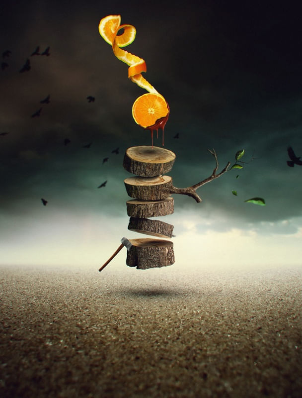 THE ORANGE TREE