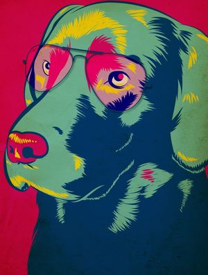 LABRADOR COLORS