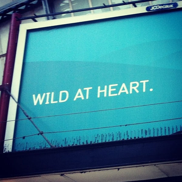 WILD AT HEART