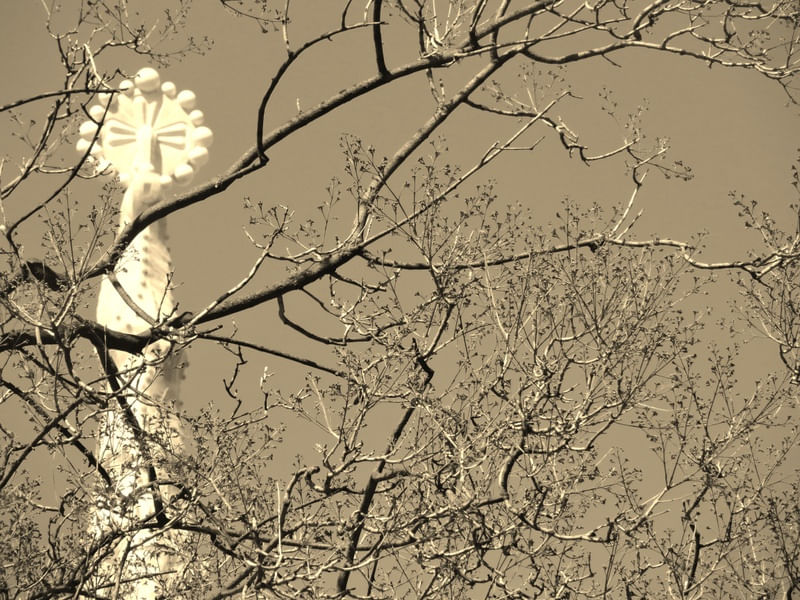 GAUDI