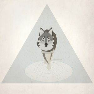 RAINY WOLF