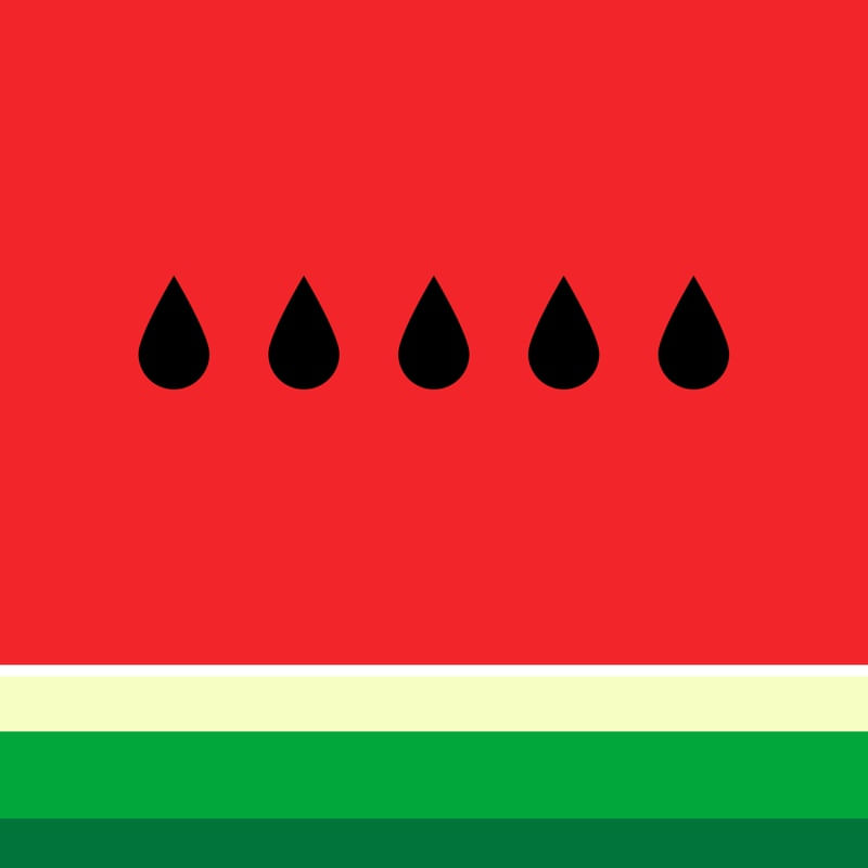 MINIMALIST WATERMELON