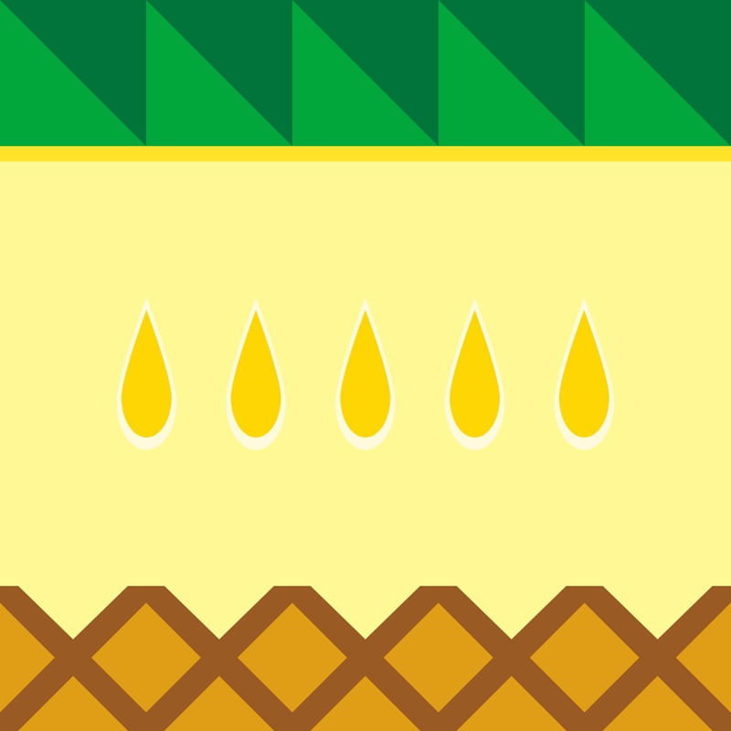 MINIMALIST PINEAPPLE