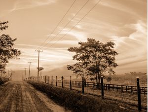 TRANSITÓRIA