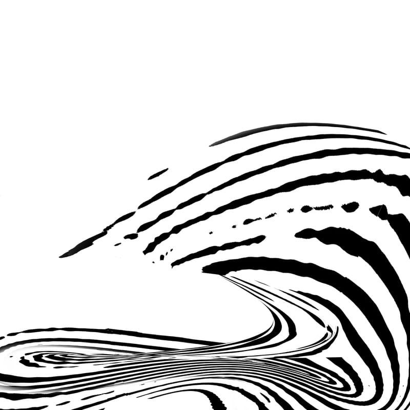 T 19