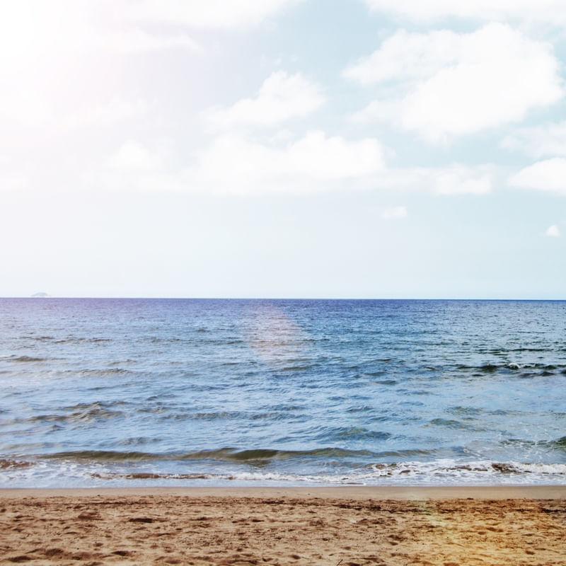 BLUE COAST
