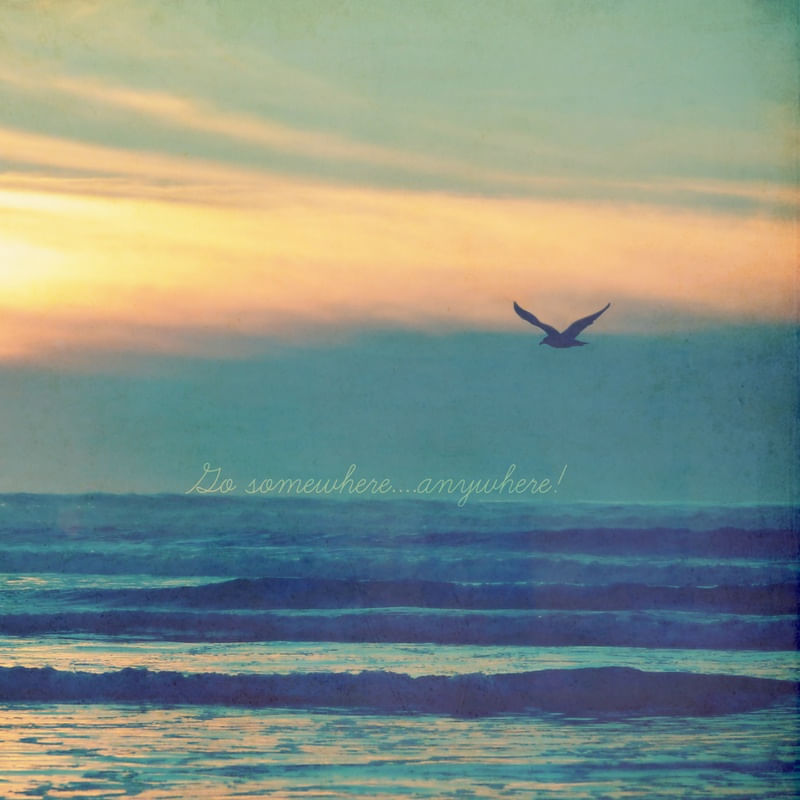 GO SOMEWHERE