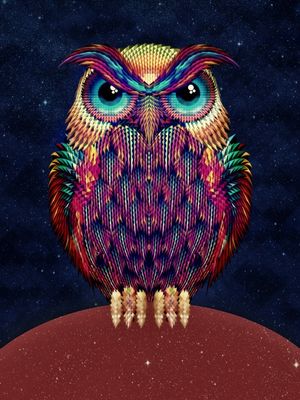 OWL 2