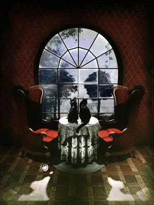 ROOM SKULL