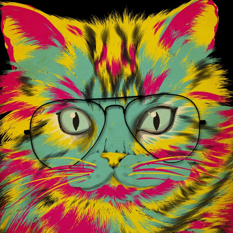 CAT COLORS