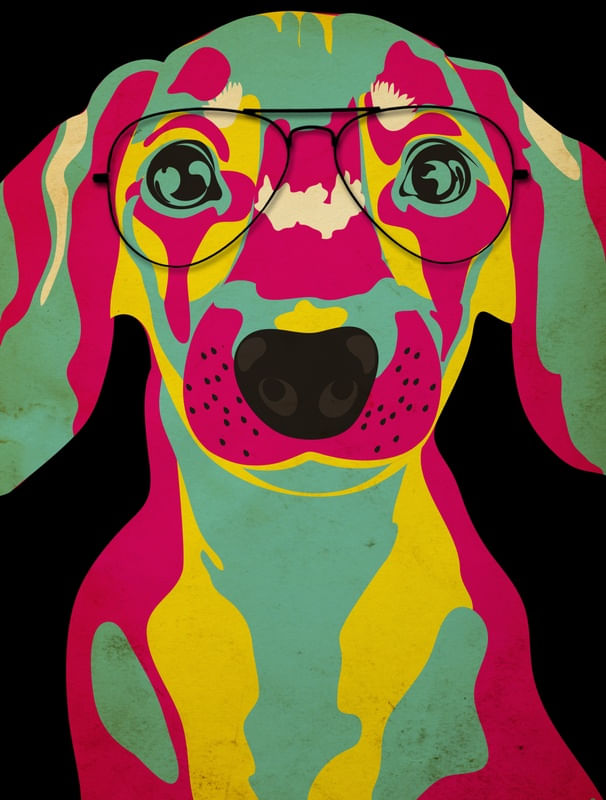 DACHSHUND