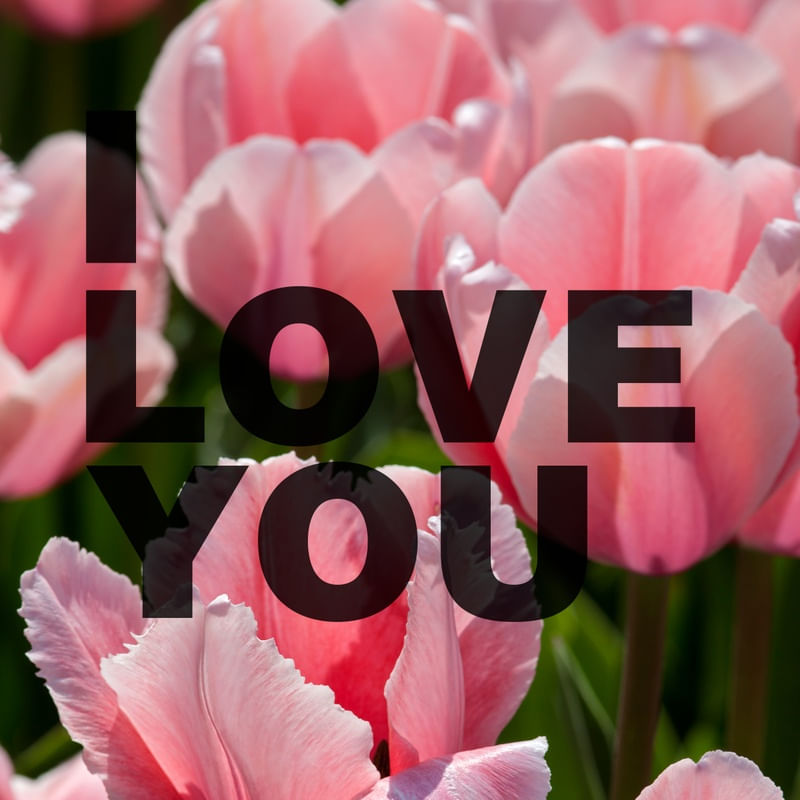 I LOVE YOU FLOWER