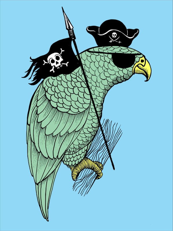 PAPAGAIO DE PIRATA