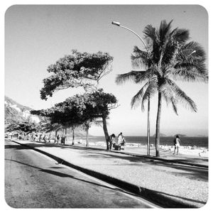 RIO 7