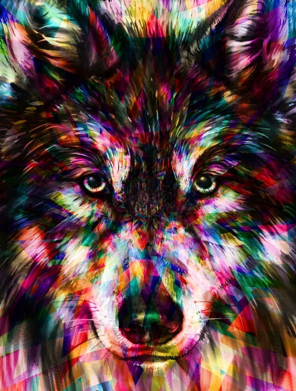 WOLF COLORS