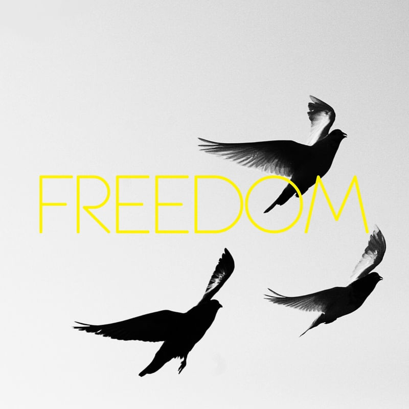 IT´S FREEDOM