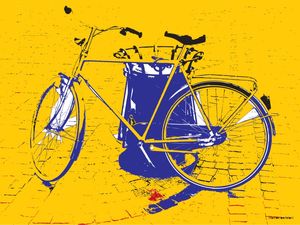 BIKE COLOR 11