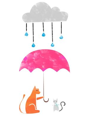 GATO E RATO NA CHUVA