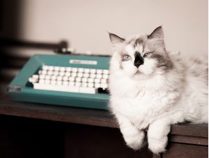 CAT WRITER