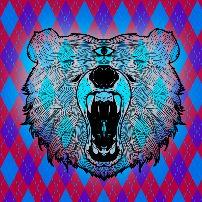 ANGRY BEAR