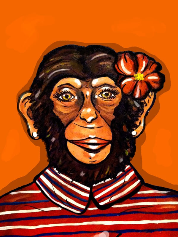 TROPICALIA