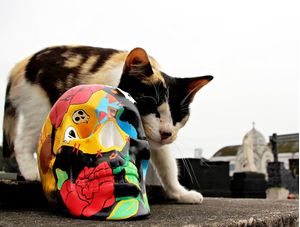 LOVE SKULL AND CAT