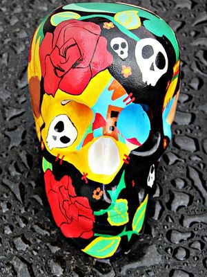 SKULL COLOR AND WATER