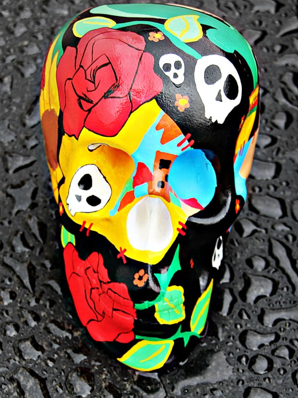 SKULL COLOR AND WATER