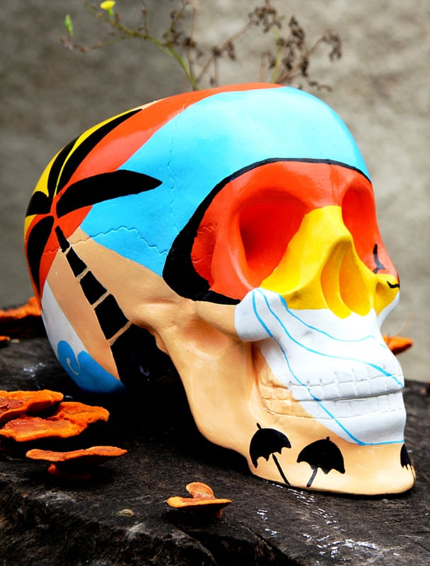 CRANIO E COGUMELOS