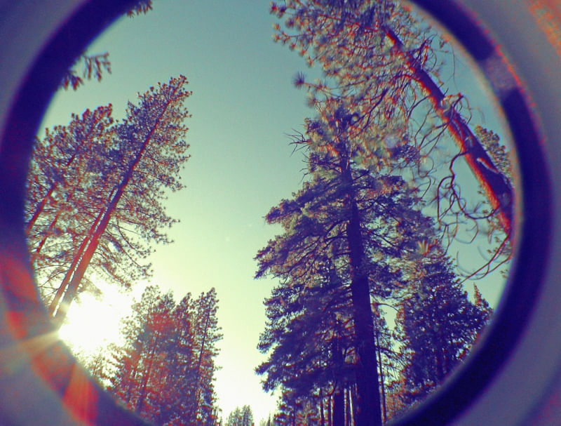 EYE OF THE SUN