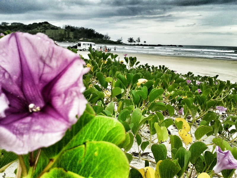 PRAIA LINDA