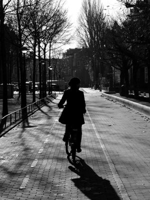 AMSTBIKE2