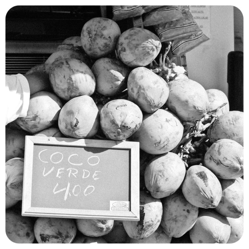 COCO PLACA PRAIA PRECO CALOR